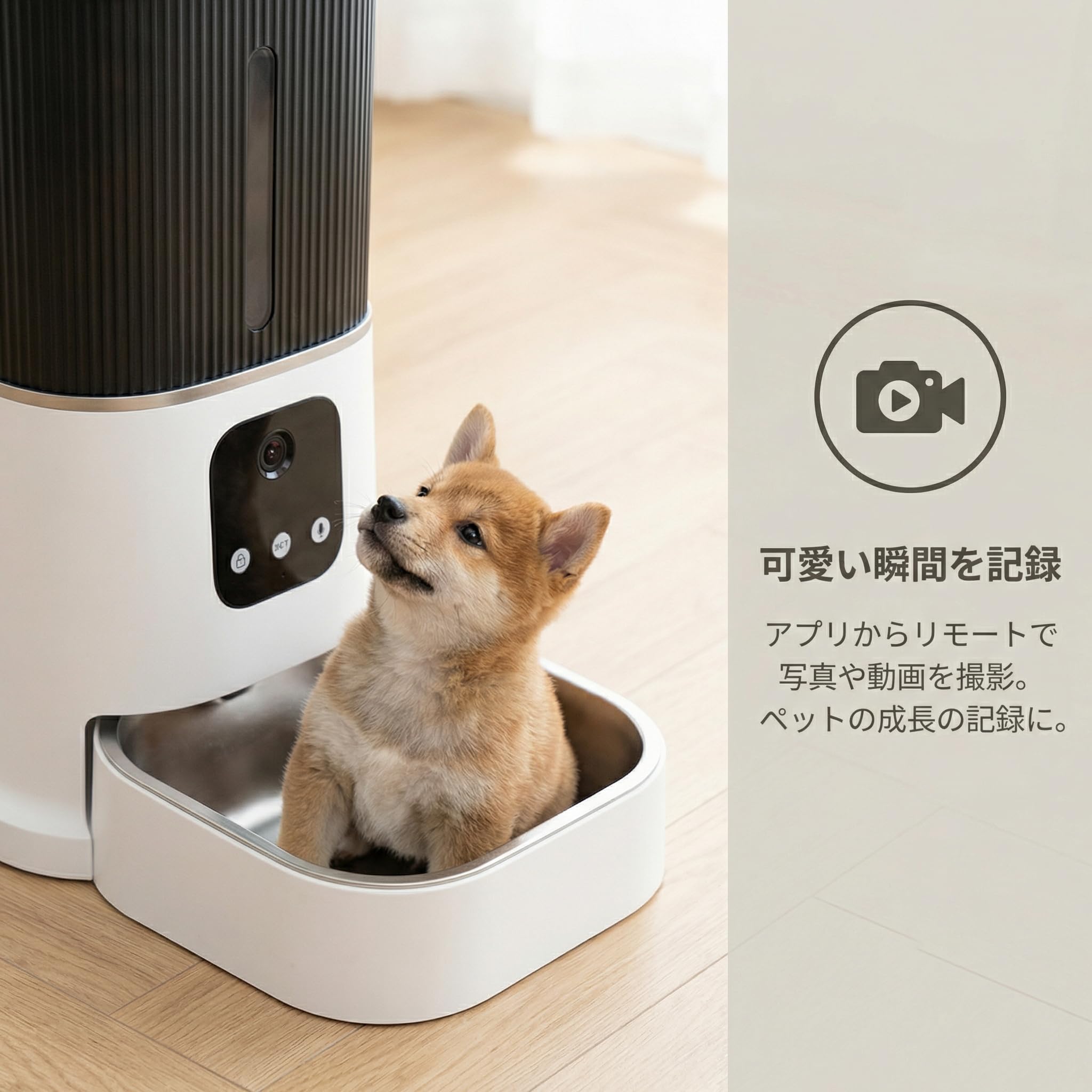 Amazon | 【カメラ付き】スマート自動給餌器 猫・犬用｜アプリ遠隔操作